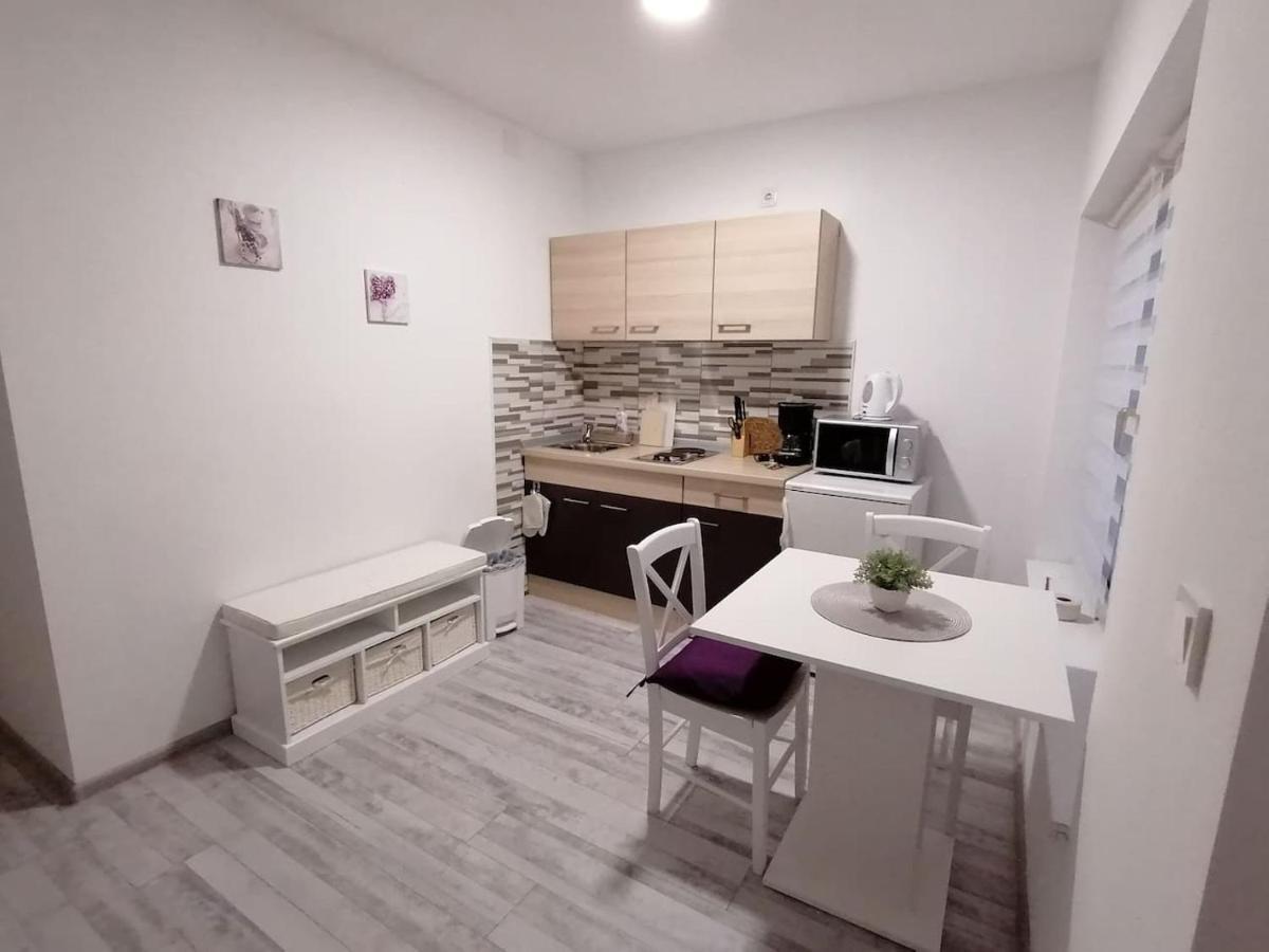 Apartman Lidija Dinjiška エクステリア 写真