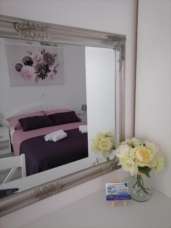 Apartman Lidija Dinjiška エクステリア 写真