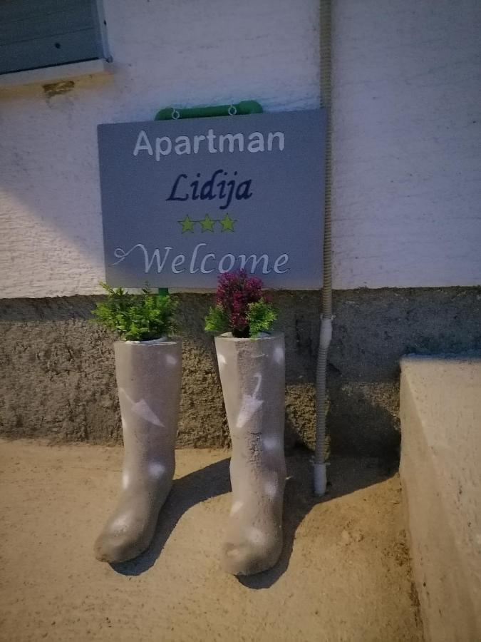 Apartman Lidija Dinjiška エクステリア 写真